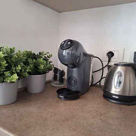 Interno 7 Steccata 아파트 파르마